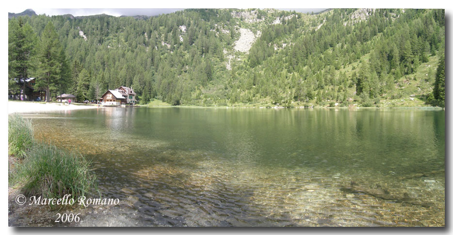 Insetti del Parco Adamello Brenta (TN): immagini e appunti